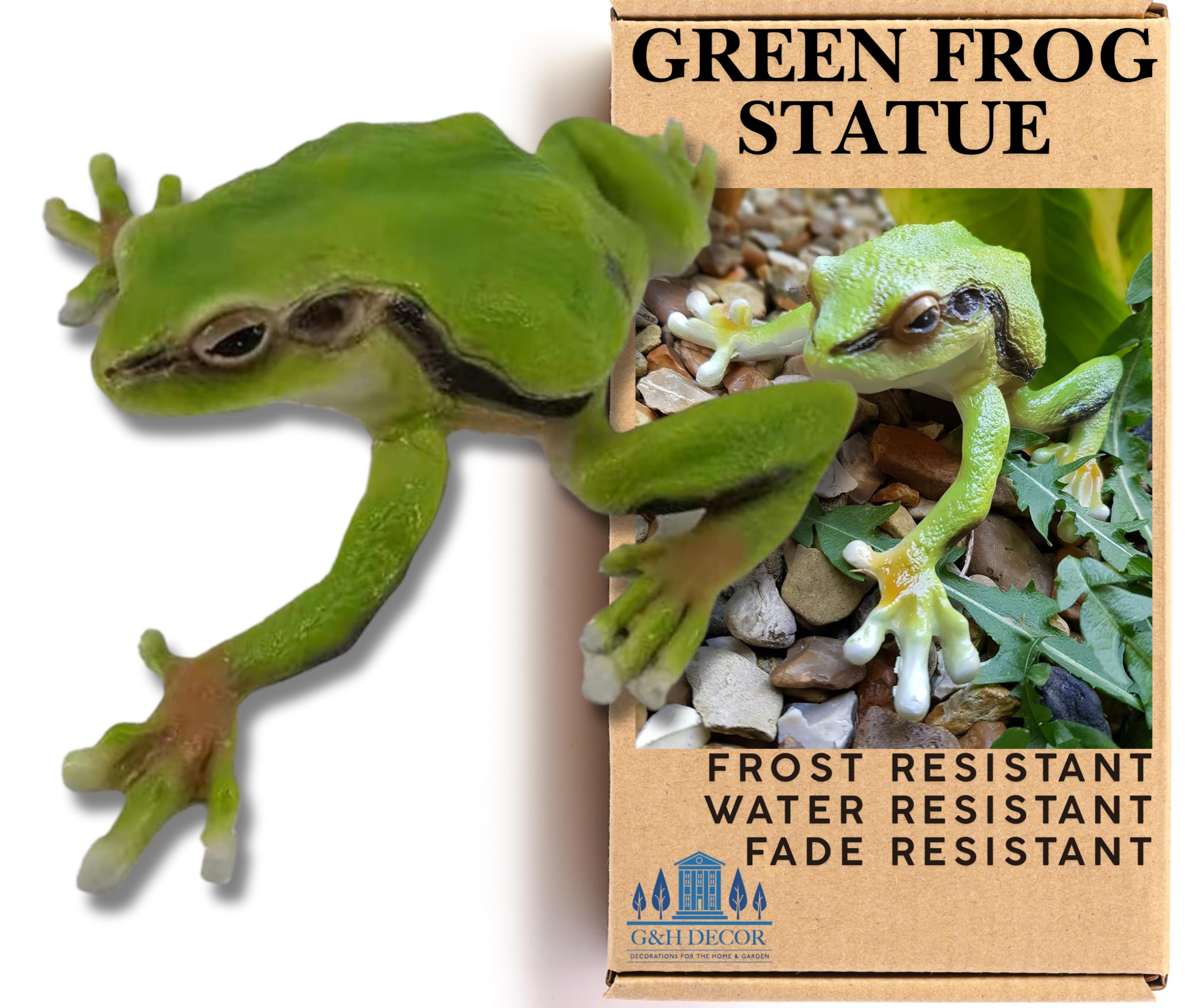 G&H Decor – 16cm Green Tree Frog Resin Lawn Statue – Hand Finished Ornament Figurine with Intricate Detail – Frost Resistant Garden Pond Sculpture Suitable for Indoor Outdoor Use – Toad Patio Gift
