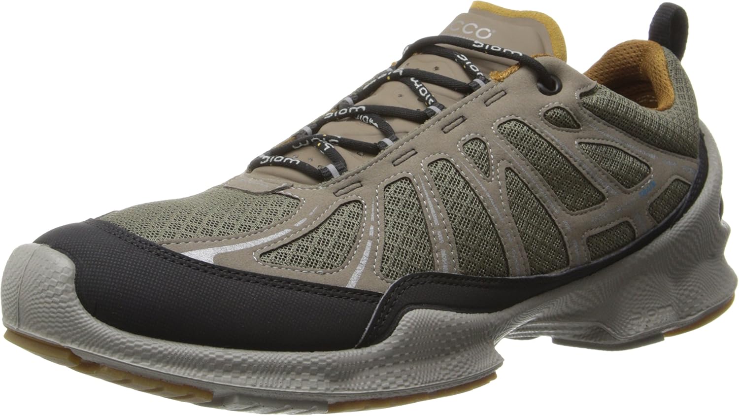 ecco biom train core