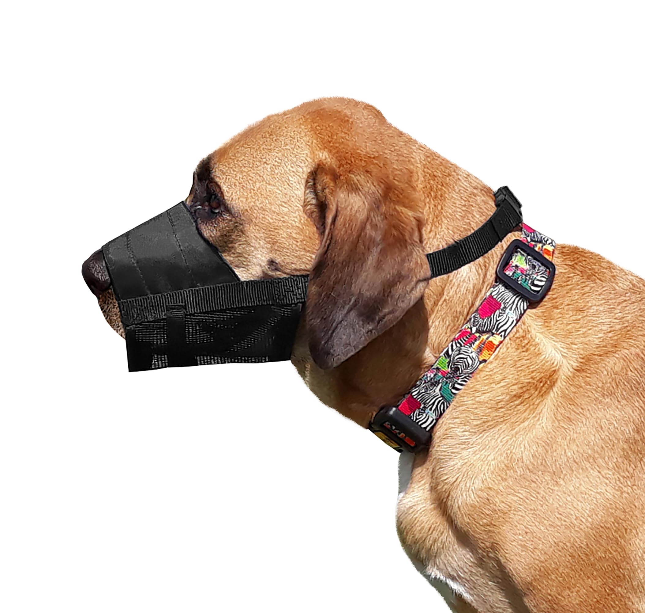 Dingo Waldemar Rutkowski Adjustable Nylon Muzzle Breathable Mesh for Large & Medium Breeds, Giant Schnauzer, Retriever, Rottweiler, L Black 16776-2