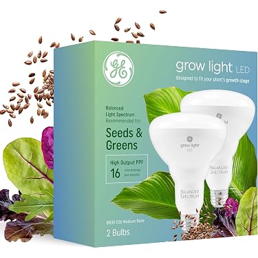 plant automatic watering Automatic Plant Watering System (12 Pack)  Daily Deal Man
