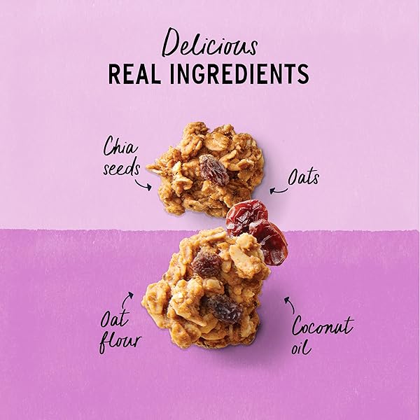 PURELY ELIZABETH, COOKIE GRANOLA OATMEAL RAISIN, 11 OUNCE