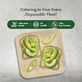 Eco Leaf 25 Disposable Palm Leaf Plates 10in Large Square Oven Safe Eco view 2