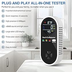 4-in-1 Portable Carbon Monoxide & Combustible Gas