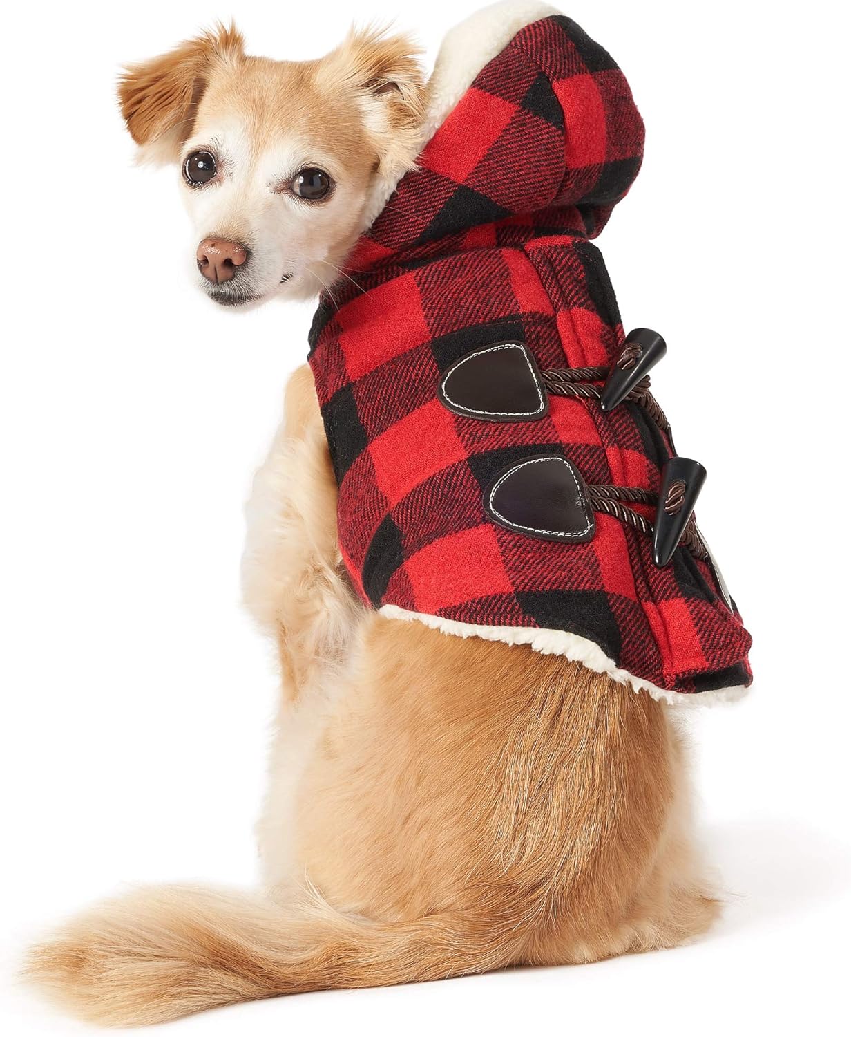 friends forever dog jacket