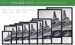 FrameWorks 24” x 30” 2-Pack Black Back-Loading