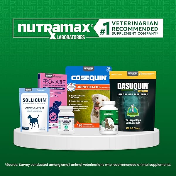 NUTRAMAX LABORATORIES DENOSYL FOR DOGS, LIVER AND BRAIN HEALTH SUPPLEMENT FOR MEDIUM DOGS, WITH S-ADENOSYLMETHIONINE (SAME), STABILIZED TABLETS, 30 COUNT