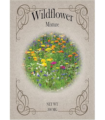 Amazon.com : Black Duck Brand Set of 25 Packs of Wildflower Seed Packets! Flower  Seeds in Bulk - Great for Creating The Garden of Your Dreams! (25, Wildflower  Mix) : Patio, Lawn & Garden