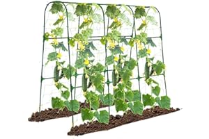 OTOSUNNY Garden Arch Trellis for Climbing Plants Outdoor, 50x48 inch Cucumber Trellis Raised Bed, Rustproof Metal Climbing Plant Support Vegetable Vine Flower Fruits, with Netting, Lightweight, Green