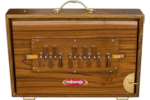 Shruti Box, Maharaja Premium, Teak Wood, Brass, 15x10x3 Inch, Bag, In USA, C-to-C, Tuned 440, Surpeti Instrument. Best for Yo