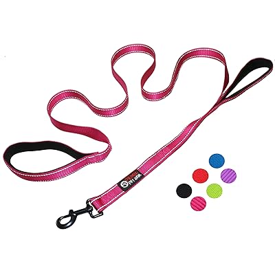 Dog Leash by Primal Pet Gear