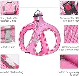 haapaw Dog Harness and Lead Set No Pull Adjustable Reflective Step-in Vest view 2