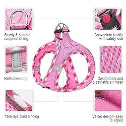 haapaw Dog Harness with Leash Set, No Pull