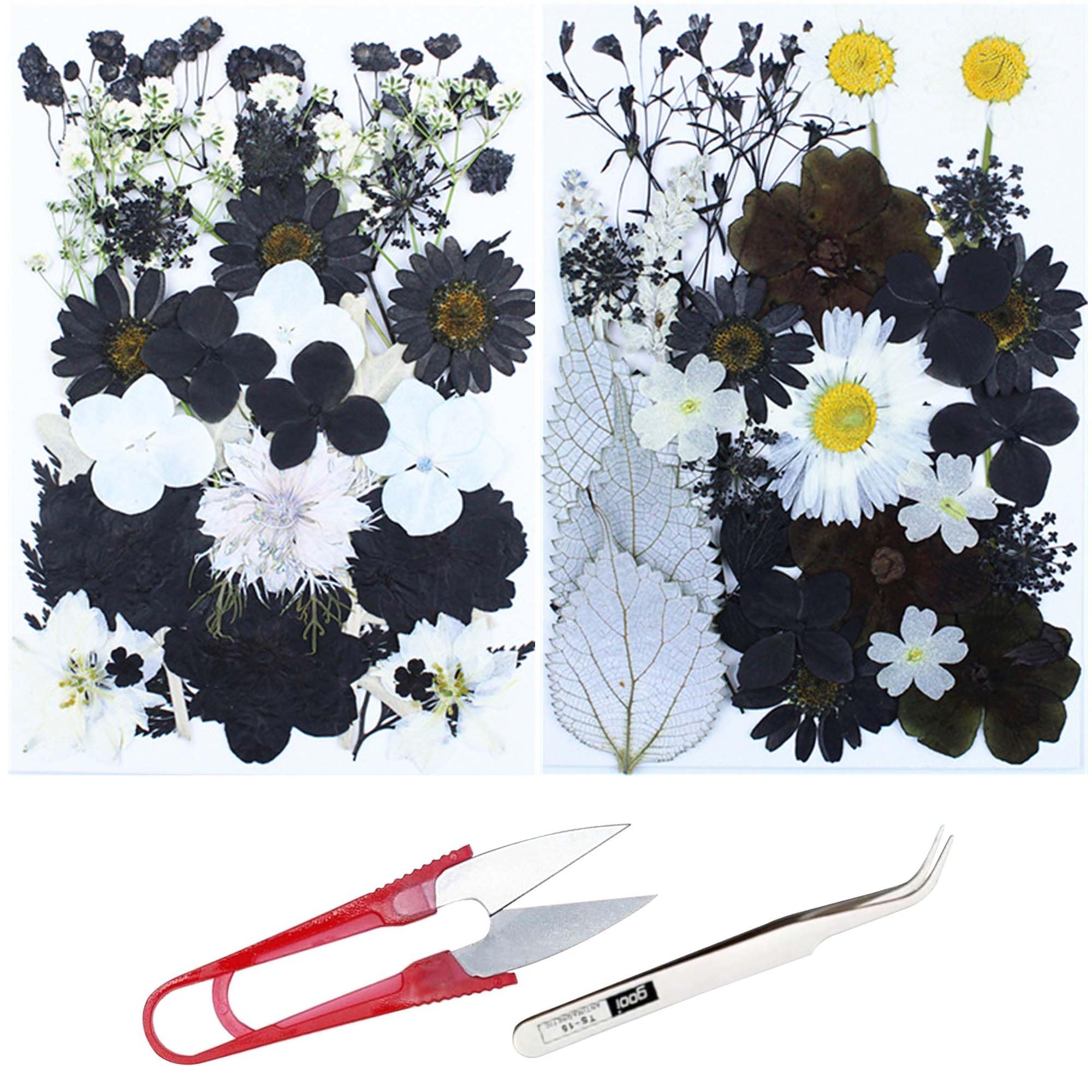 Cayway 2 Pack Dried Pressed Flowers for Resin Molds, Black Real Pressed Flowers Dry Leaves Kit Natural Dried Pressed Leaves for Art Crafts Resin Scrapbook Supplies Soap Candle DIY, Style B — image 1