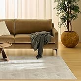 Nourison Home Nordic Ivory Beige 4' x 6' Area Rug - Easy Clean, Non Shedding, Bed Room, Living Room, Dining Room, Kitchen (4'