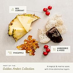 Cremo Cologne For Men - Golden Amber Mens Cologne