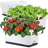 Window Box Planter 6 Pcs, 18 Inches Rectangle Flower Pots with Drainage Holes and Trays, Vegetable Planters for Windowsill Pa