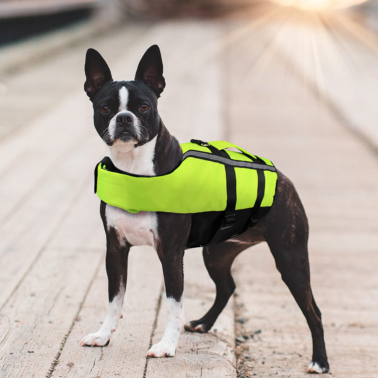 Petleso Dog Life Vest Life Jacket for Dogs Reflective Life Jacket for Life Jacket for Dogs with Rescue Handle