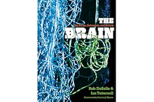 The Brain: Big Bangs, Behaviors, and Beliefs