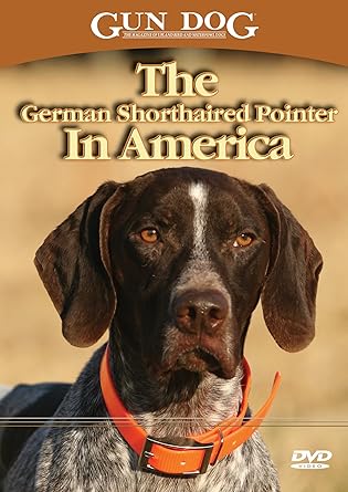 german gun dog