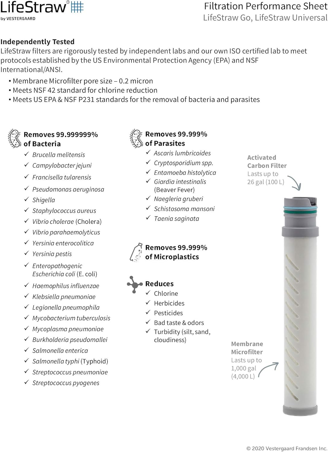 LifeStraw Go Water Filter Bottle with 2-Stage Integrated Filter Straw for Hiking, Backpacking, and Travel, Blue (LSGOV2CR45) : Sports & Outdoors