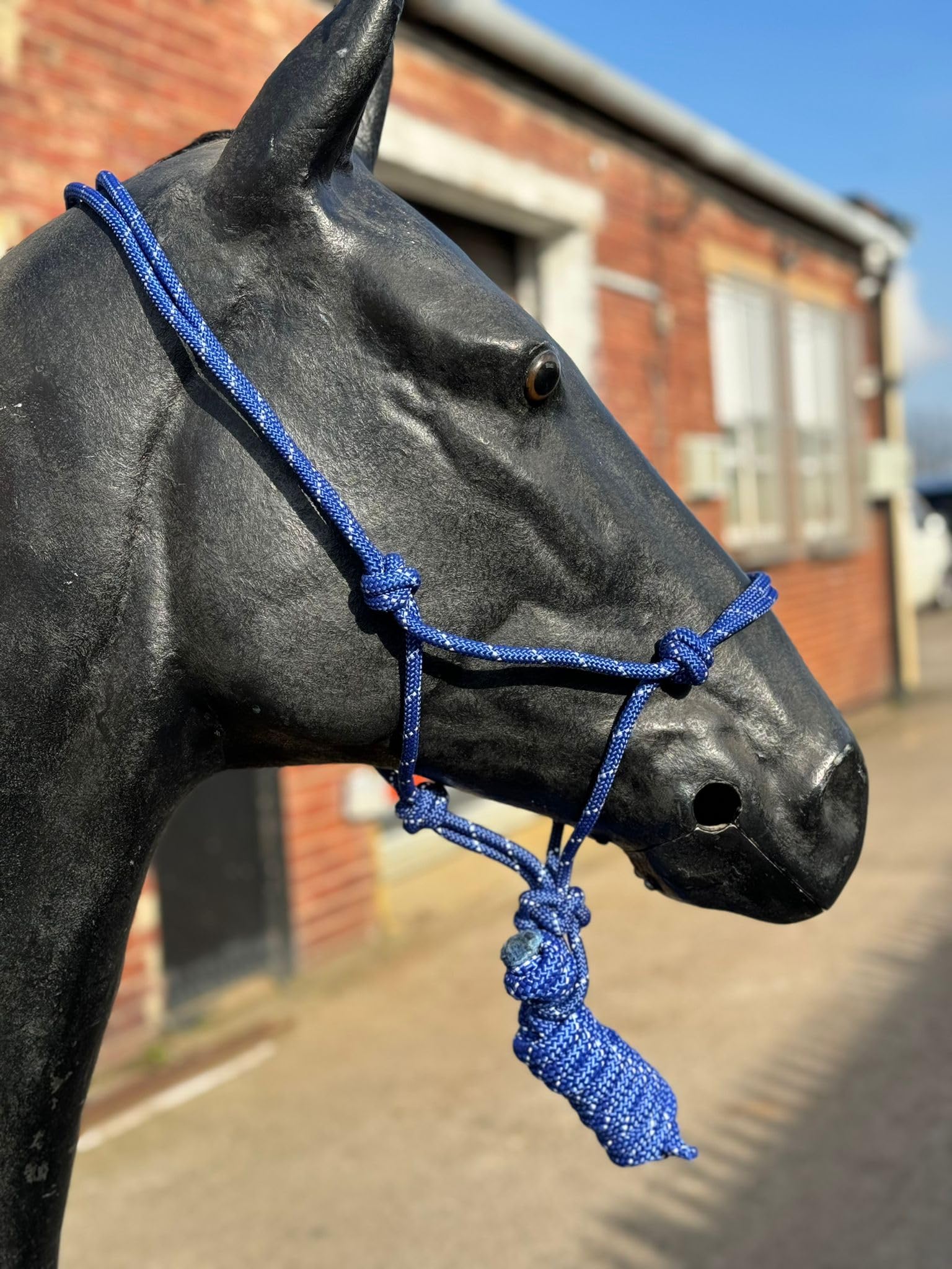 Hi-Viz Reflective Rope Headcollar with Lead Rope Se Fully Adjustable (Shetland, Royal Blue)