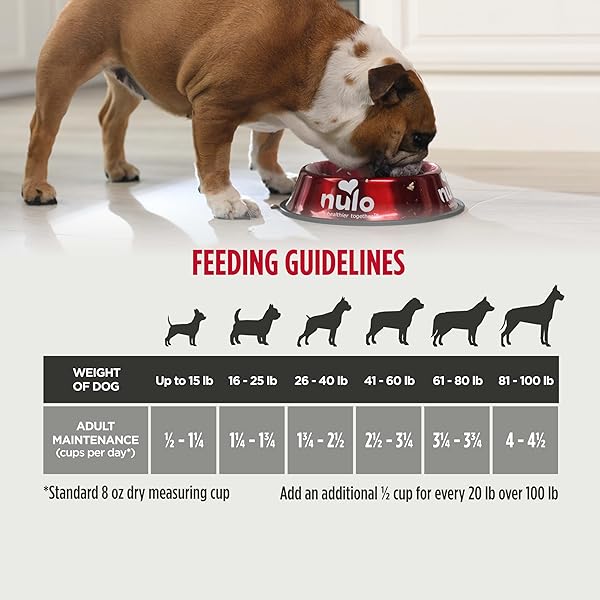NULO FREESTYLE ADULT TRIM DRY DOG FOOD – HIGH PROTEIN GRAIN FREE DOG FOOD FOR HEALTHY WEIGHT MANAGEMENT, NATURAL KIBBLE WITH PROBIOTICS, L-CARNITINE AND FIBER FOR SMALL, MEDIUM, LARGE BREEDS, 6LB BAG