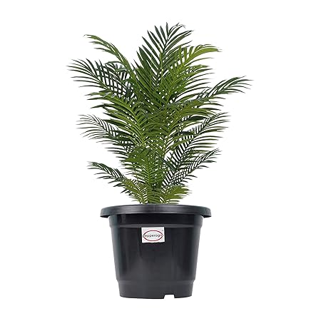 Pepper Agro Plastic Flower Pot, Black, 13 inch, 3 Pieces