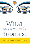 What Makes You Not a Buddhist
