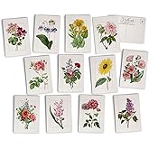 Vintage Floral Postcards - 24 Antique Flower Postcards - 12 Assorted Botanical Retro Book Illustration Cards Printed on Antique Textured Style Cardstock - Great for Spring, Summer, Gardening, & Nature