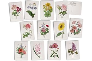 HILL VALLEY GREETINGS Vintage Floral Postcards - 24 Antique Flower Postcards - 12 Assorted Botanical Retro Book Illustration Cards Printed on Antique Textured Style Cardstock - Great for Spring, Summer, Gardening, & Nature