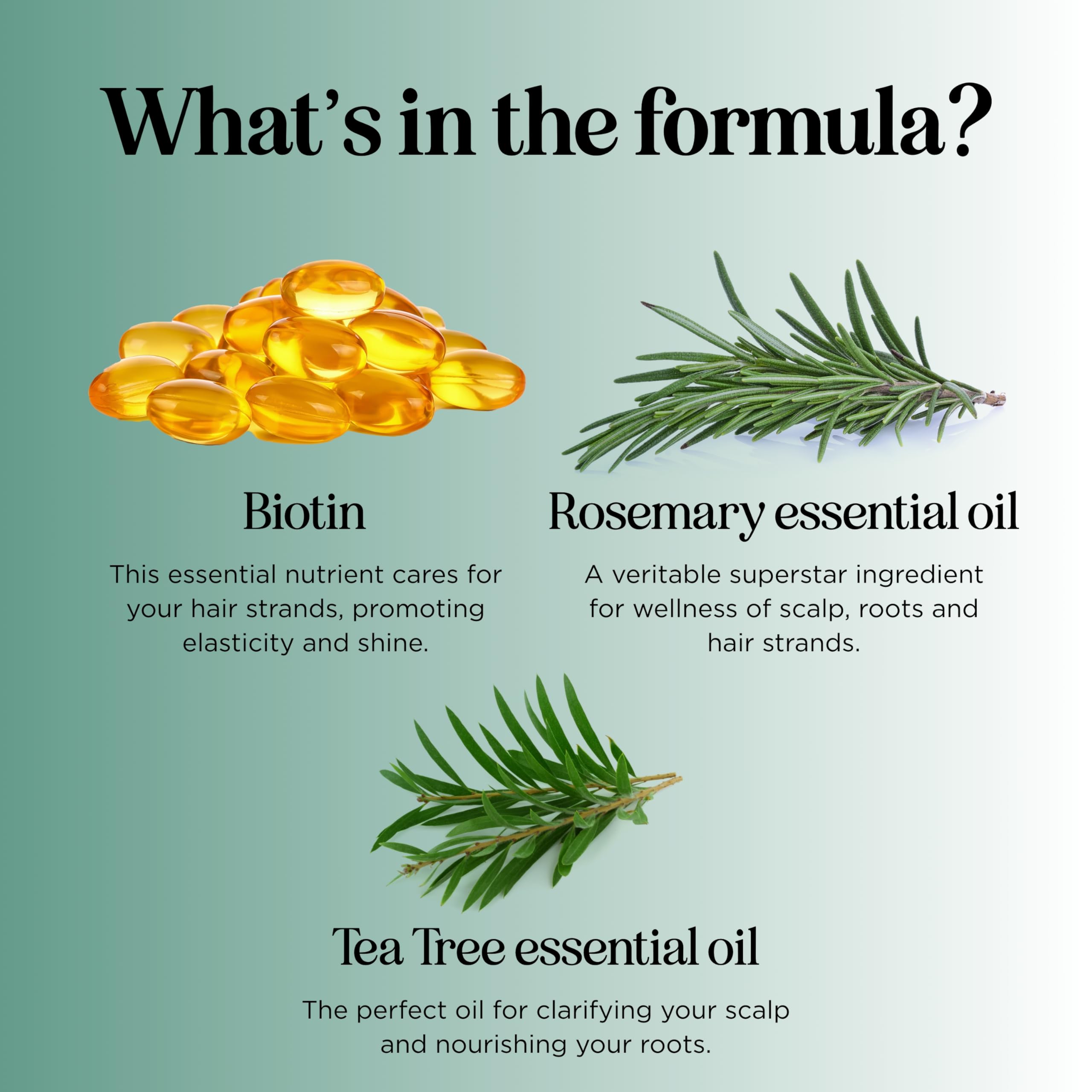 Volumizing Biotin and Rosemary Shampoo - Vegan Rosemary Biotin Shampoo for Thinning Hair for Women and Men with Nourishing B Vitamins & Tea Tree Oil - Paraben Silicone & Sulfate Free (16 Fl Oz)