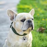 EDS G Dog Tags for Pets Engraved UK Personalised Stainless Steel Dog ID Tag view 4