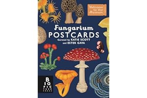 Fungarium Postcard Box Set
