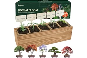 ROOTCRAFT 5 DIY Bonsai Tree Kit for Beginners, Complete Indoor Gardening Starter Kit with Seeds, Soils, Pots & Tools, Unique Birthday Gifts Ideas for Women, Men