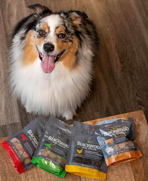 BLACKWOOD OVEN BAKED DOG TREATS, DUCK WITH APPLE, 8 OUNCE POUCH, TRAINING TREATS FOR ALL LIFE STAGES AND BREED SIZES