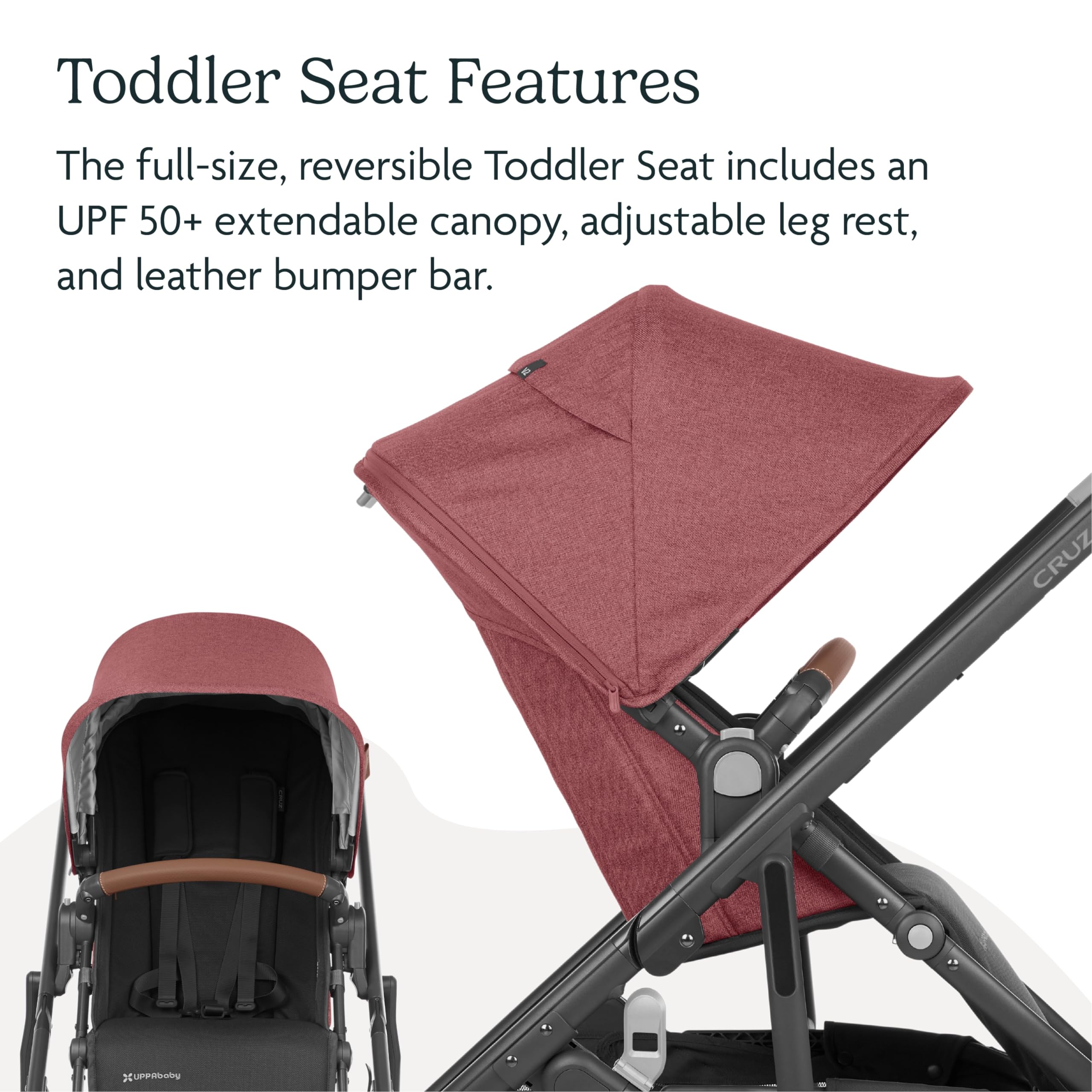 UPPAbaby Cruz V2 Stroller/Full-Featured Stroller with Travel System Capabilities/Toddler Seat, Bumper Bar, Bug Shield, Rain Shield Included/Jake (Charcoal/Carbon Frame/Black Leather)