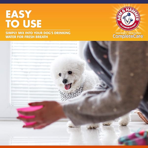 ARM & HAMMER DOG DENTAL WATER ADDITIVE BREATH FRESHENER, ODORLESS FLAVORLESS ORAL CARE SOLUTION FOR PLAQUE AND TARTAR CONTROL, DAILY NO BRUSH DENTAL SUPPORT FOR DOGS, 16 FL OZ
