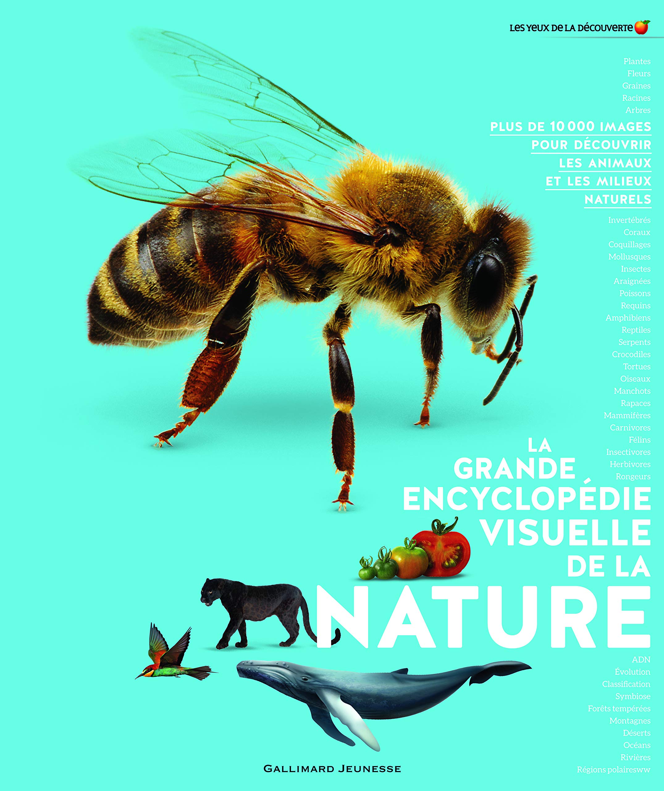 La Grande Encyclopedie Visuelle De La Nature Encyclopedie Gallimard Jeunesse French Edition Collectif Porlier Bruno 9782075100465 Amazon Com Books