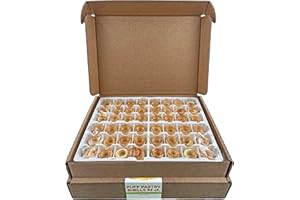 Gourmet Puff Pastry Shells | Ready To Use | By Dasher's Spice & Beans | 20.32 oz. (96 Count)