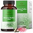 HERBAMAMA Mimosa Pudica Seed Capsules - 1000mg Mimosa Pudica Extract Powder for Digestive Cleanse & Detox - Vegan, Non-GMO Digestive Support Supplement, 100 Caps