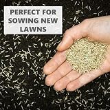 Grow Pure Grass Seed 1kg Fast Growing Shade Tolerant UK Climate view 5