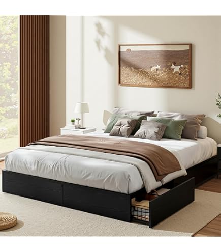 Amazon.com: South Shore Spark Mates Bed with 4 Drawers, Full 54