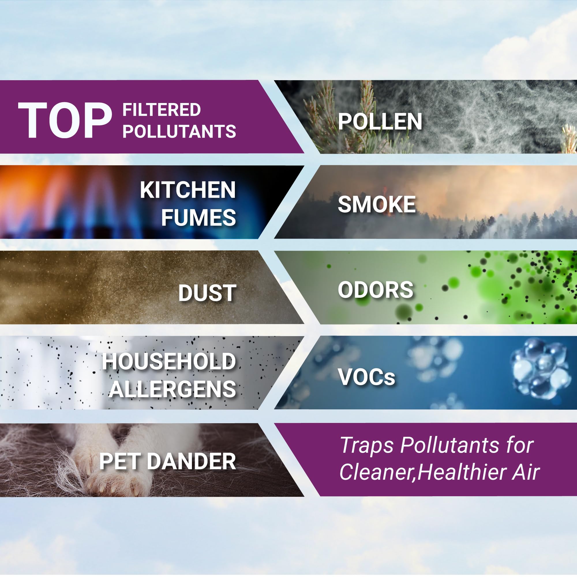 Genuine Winix 116130 Replacement Filter H for 5500-2 Air Purifier , 16.25