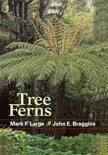 Download Tree Ferns PDF