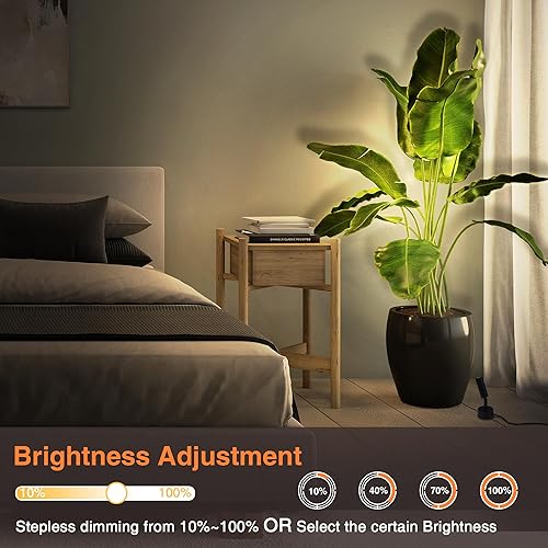 URTOM LED Spot Lights Indoor 3W Up Lights Indoor with Timer and Remote  3000K/4000K/5000K Uplighting Indoor Spotlight 120V Dimmable Uplights Indoor  Floor Light for Plant and Artwork, 2 Pack, SHWT0302B in Saudi