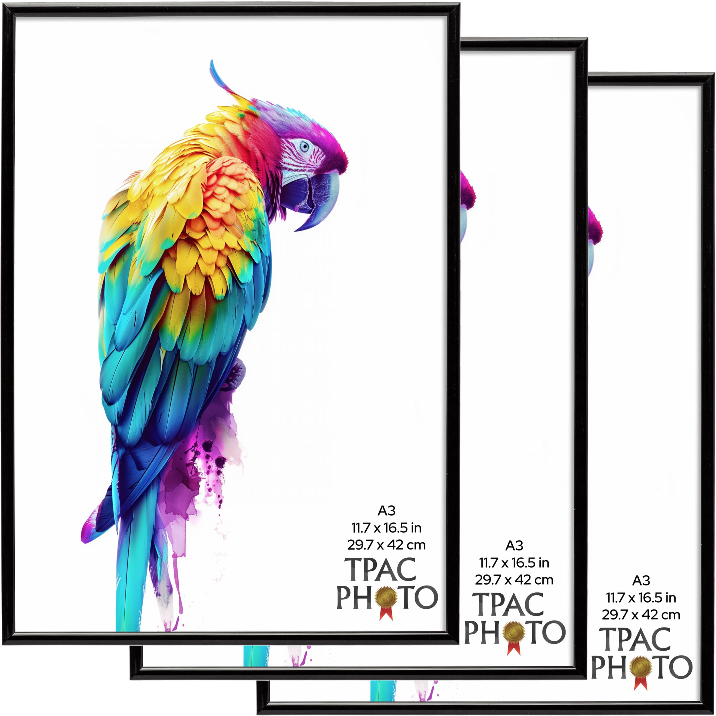 The Photo Album Company Limited | A3 Black Poster Frame Pack of 3, 43.1x31cm, Plastic, Foil Wrapped | Acrylic Front, Drop-In Back, Wall Mount | Modern Display for Photos or Certificates