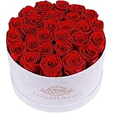Prifroti 27 Flowers in a Luxury Suede Box, Birthday Gifts for Women, Preserved Flowers, Mothers Day Roses Gift for Mom, Red