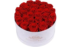 PRIFROTI 27 Flowers in a Luxury Suede Box, Birthday Gifts for Women, Preserved Flowers, Mothers Day Roses Gift for Mom, Red