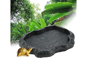 Terrarium Bowls, Shallow Reptile Feeder for Food and Water Feeding Dish for Lizard Gecko Bearded Dragon Reptile Feeder Bowl (