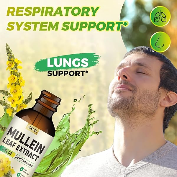 GREVOL MULLEIN DROPS FOR LUNGS, ORGANIC MULLEIN LEAF EXTRACT FOR LUNGS DETOX WITH CHLOROPHYLL HERBAL SUPPLEMENT, MULLEIN TINCTURE FOR RESPIRATORY& IMMUNE SUPPORT, NON-GMO VEGAN, 2 FL OZ